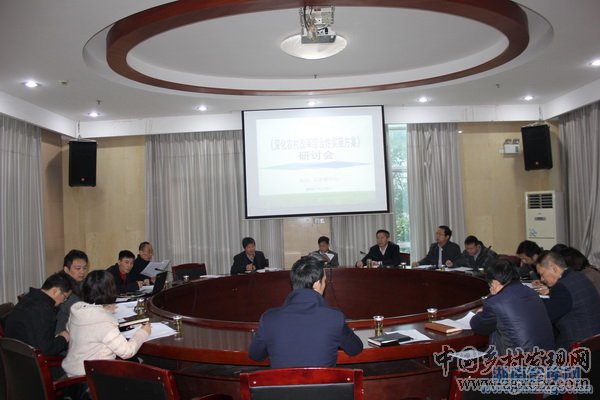 以市場化為取向全面推進新一輪農村改革(圖1)