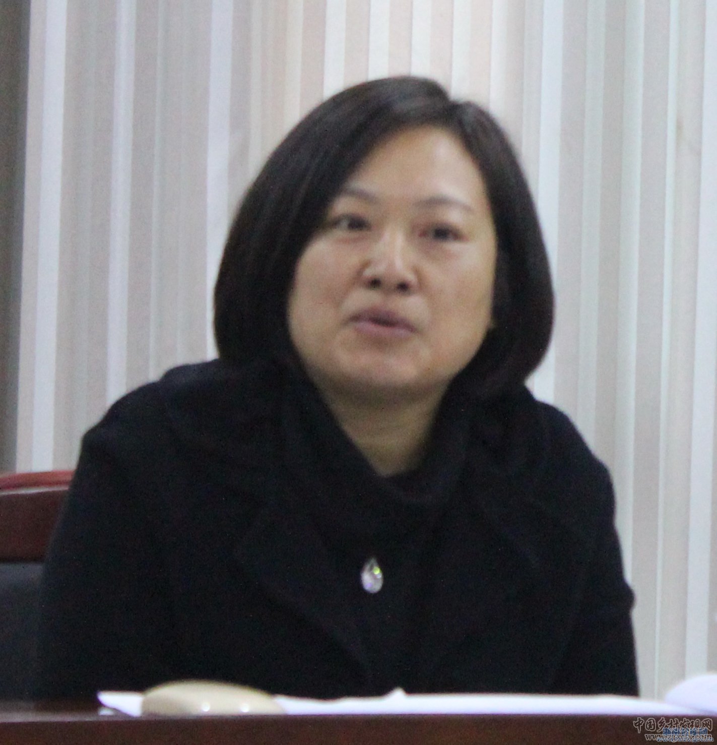 謝瑾嵐:農(nóng)村改革是全面深化改革的重要內(nèi)容(圖1)