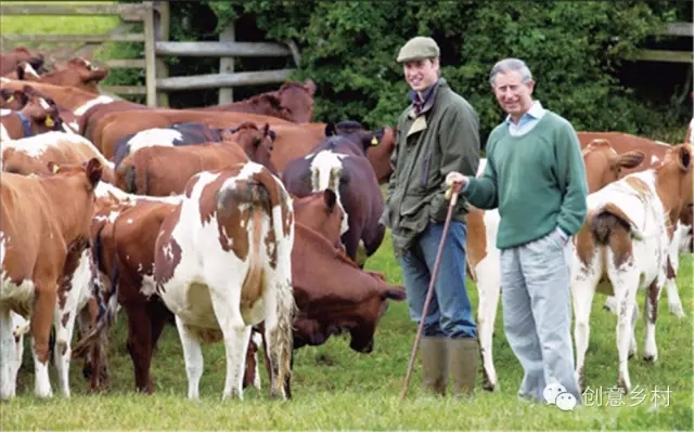 英國鄉(xiāng)村旅游的核心競爭力(圖17)