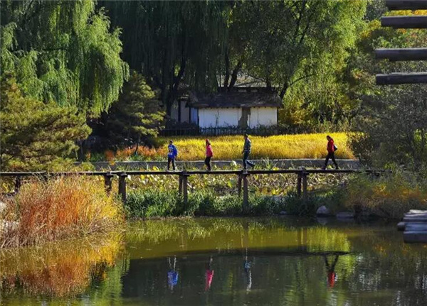 故事讓鄉(xiāng)村有了生動(dòng)的靈魂(圖3)