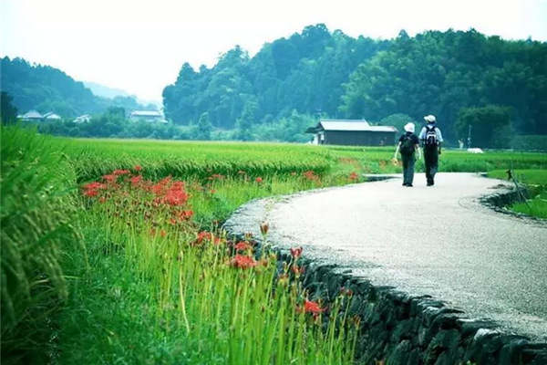 故事讓鄉(xiāng)村有了生動(dòng)的靈魂(圖22)