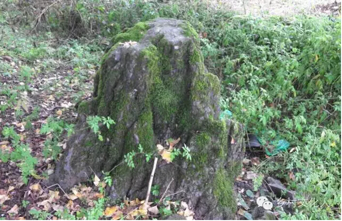 李迪華:小農(nóng)經(jīng)濟的智慧復興與鄉(xiāng)村發(fā)展(圖1)