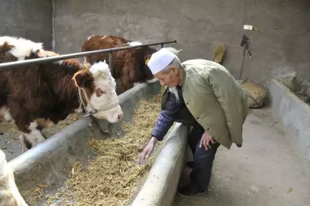 一個小縣城8萬貧困戶，萬億級央企如何精準(zhǔn)扶貧？(圖5)