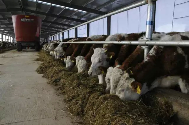 一個小縣城8萬貧困戶，萬億級央企如何精準(zhǔn)扶貧？(圖7)