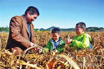 李迪華:“小農(nóng)經(jīng)濟”智慧與鄉(xiāng)村文明復(fù)興(圖1)