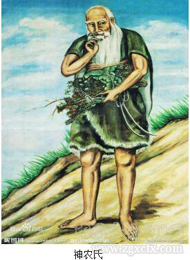 劉國棟:中國原始農(nóng)業(yè)的智慧及其主張是什么？(圖3)