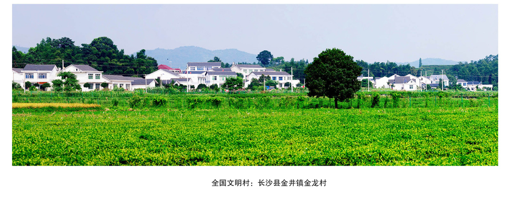 李津逵:長(zhǎng)沙縣主體功能區(qū)實(shí)踐(圖3)