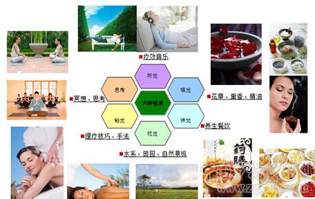 劉國棟:養(yǎng)生農(nóng)業(yè)體系構(gòu)建與養(yǎng)生農(nóng)業(yè)未來研究方向(圖5)