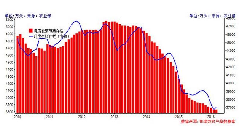 丁冬:淺談影響我國生豬供應(yīng)的因素(圖1)