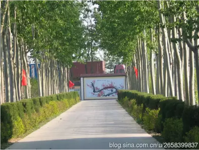 中國人民公社的標(biāo)桿:周家莊(圖3)