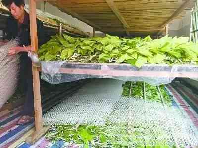 【藝萃】重返鄉(xiāng)土，“建筑界諾獎”獲得者將民居改得這么美！