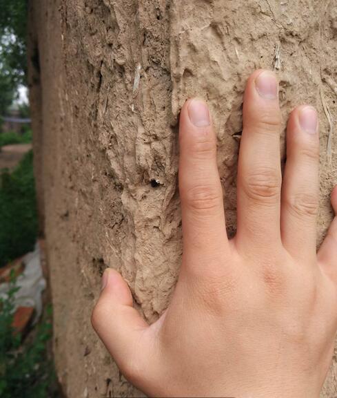 農(nóng)村僅存的土房子(圖12)