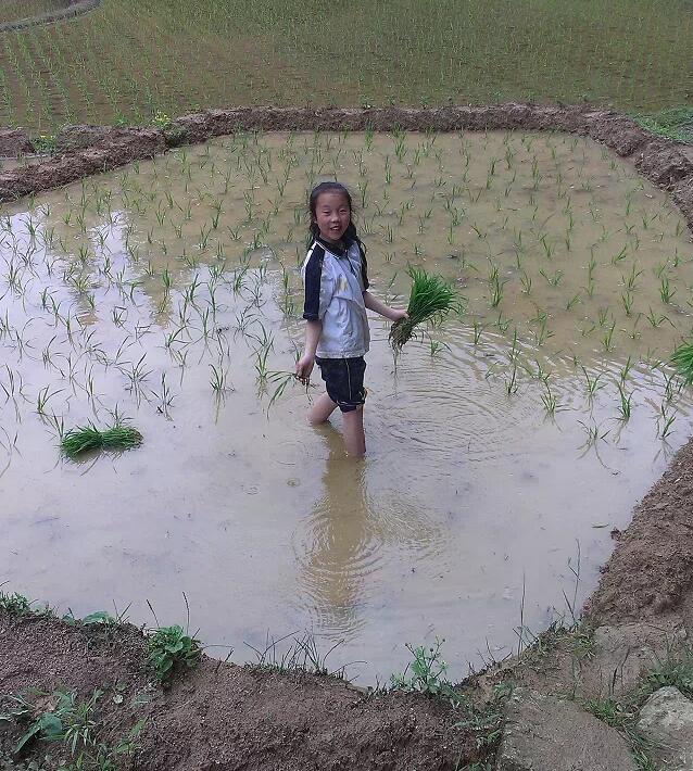 最淳樸的鄉(xiāng)親們:原始春耕(圖28)