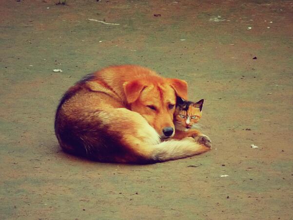 清新自然的農(nóng)村好風(fēng)景(圖5)