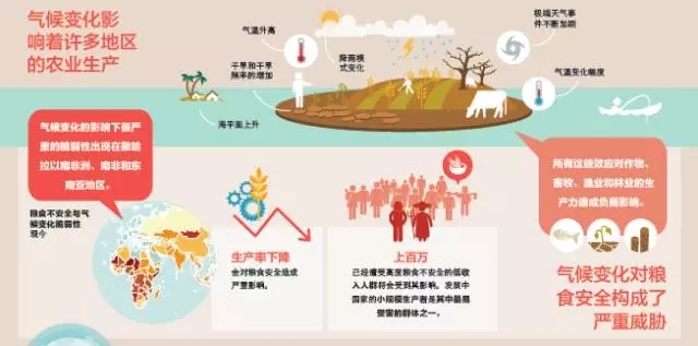 人類在能否在2030年消除饑餓和貧困？(圖1)