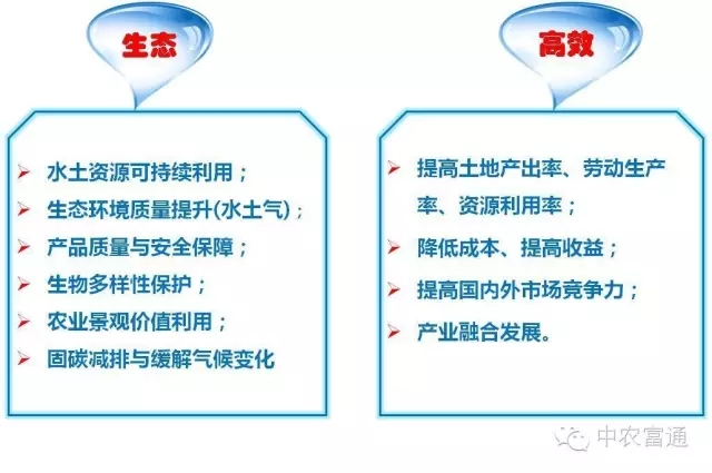 陳阜:中國(guó)農(nóng)業(yè)的轉(zhuǎn)型發(fā)展(圖2)