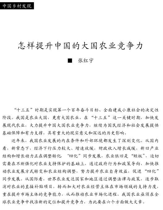 張紅宇:怎樣提升中國的大國農(nóng)業(yè)競爭力(圖1)