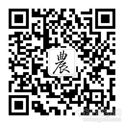 推薦關注《中國鄉(xiāng)村發(fā)現(xiàn)》主編微信訂閱號(圖1)