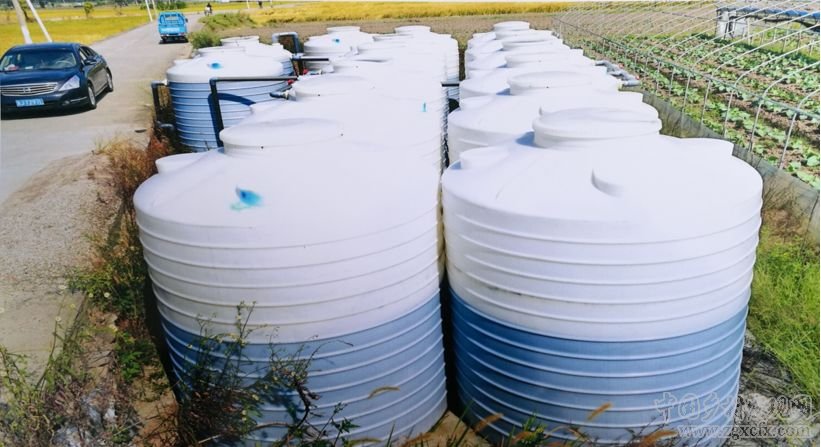 朱玲:關(guān)注農(nóng)村污染治理中的制度、 技術(shù)和財(cái)務(wù)需求(圖1)