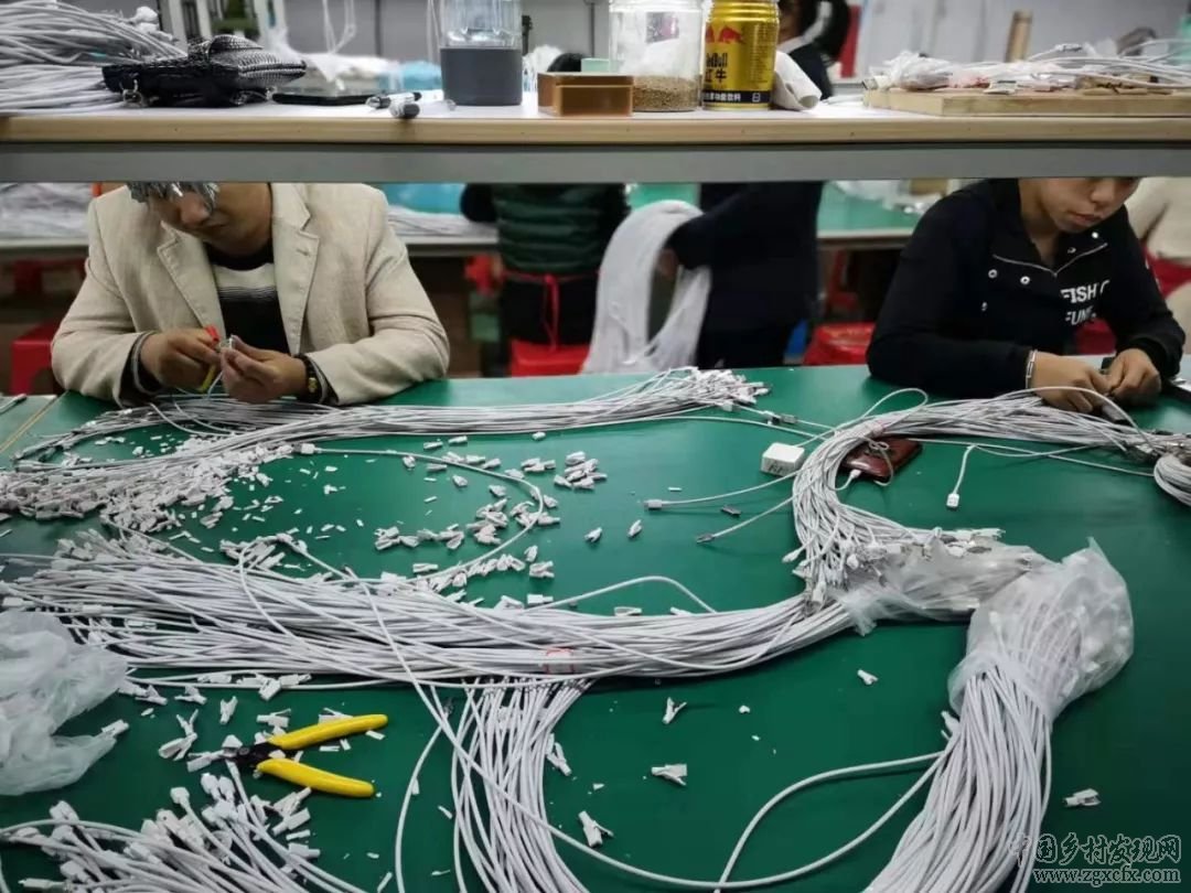 武岡:脫貧攻堅與鄉(xiāng)村振興有機銜接的湖南探索(圖4)