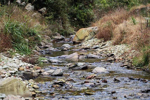 貴州從江:鄉(xiāng)村冬韻惹人醉(圖3)