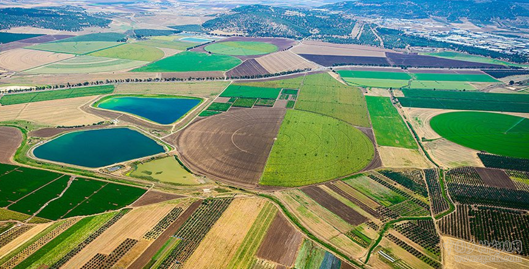 安萱:農(nóng)業(yè)創(chuàng)業(yè)創(chuàng)新(圖2)