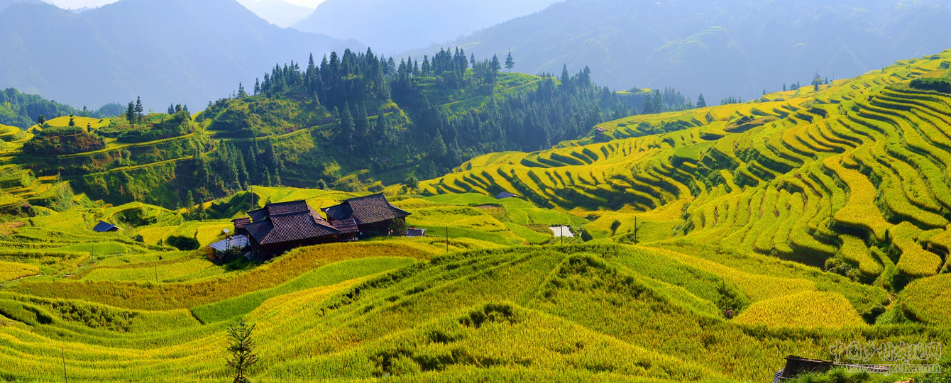 金秋時節(jié)，加榜梯田美如畫(圖9)