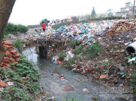 垃圾圍村、田佳良事件與國民性改造(圖3)