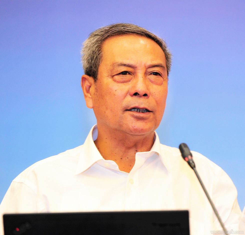 陳錫文人民日報發(fā)文：脫貧攻堅(jiān)的生動樣本——評陳文勝《大國小村》(圖2)