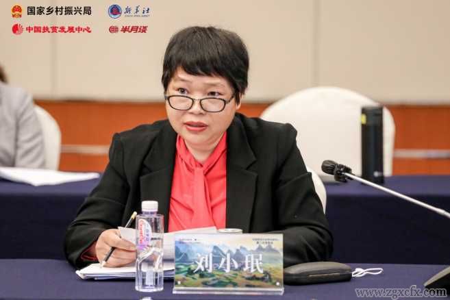 從脫貧攻堅(jiān)到鄉(xiāng)村振興，靠得住的“中國(guó)經(jīng)驗(yàn)”(圖19)