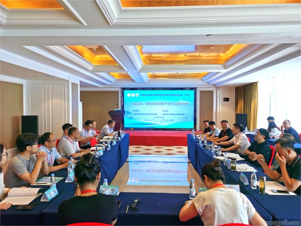 中國農(nóng)發(fā)會年會(2025)“鄉(xiāng)村治理”平行論壇論文入選名單(圖1)