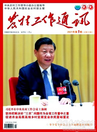 李珺:在全面推進(jìn)鄉(xiāng)村振興中傳承提升鄉(xiāng)村文化(圖1)