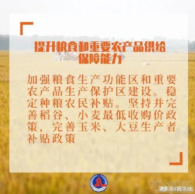 2021年中央一號(hào)文件有哪些硬舉措？(圖3)